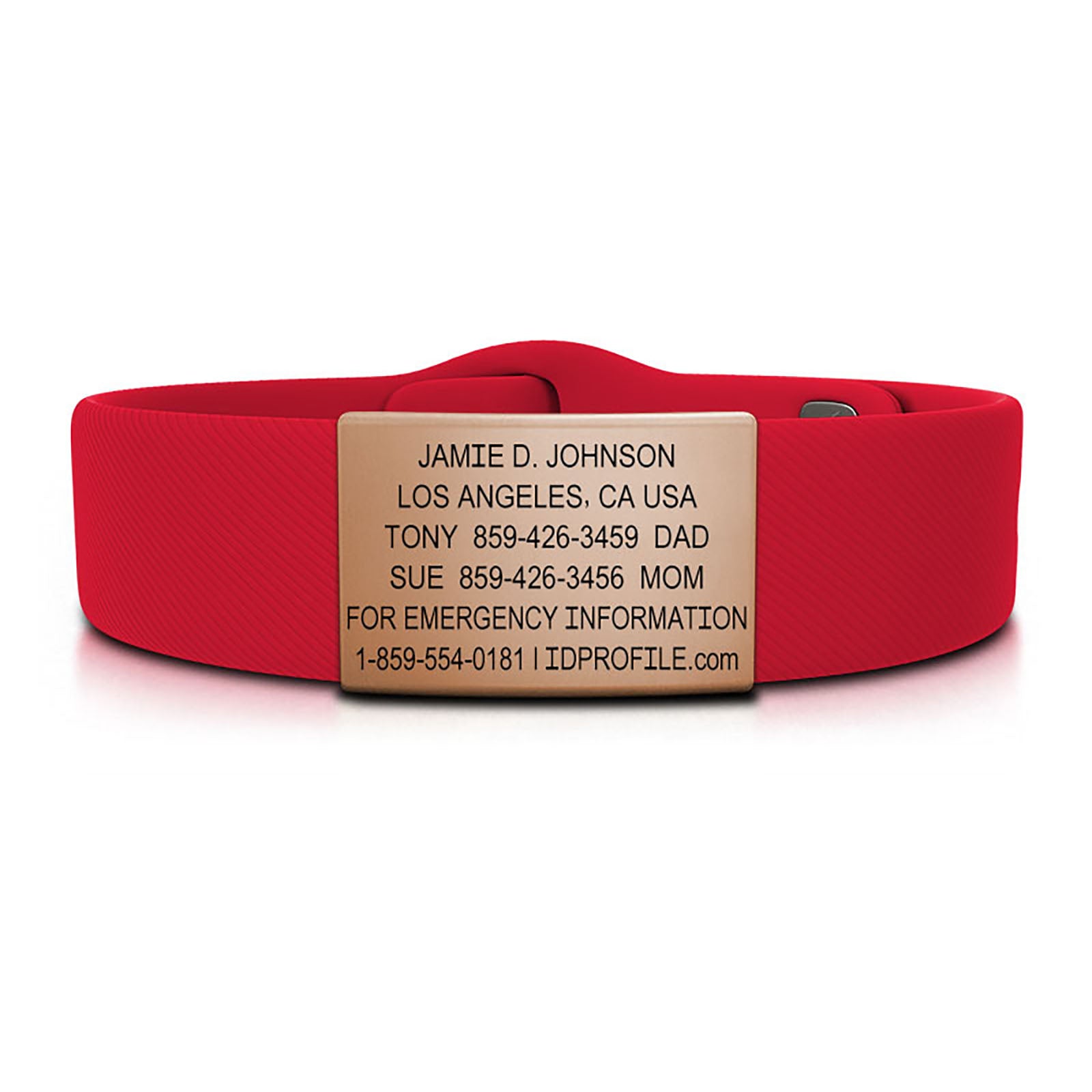 19mm / Rose Gold / Classic | Red