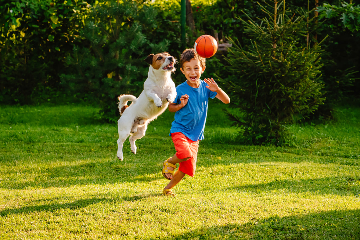 a child playing with a dog and a ball