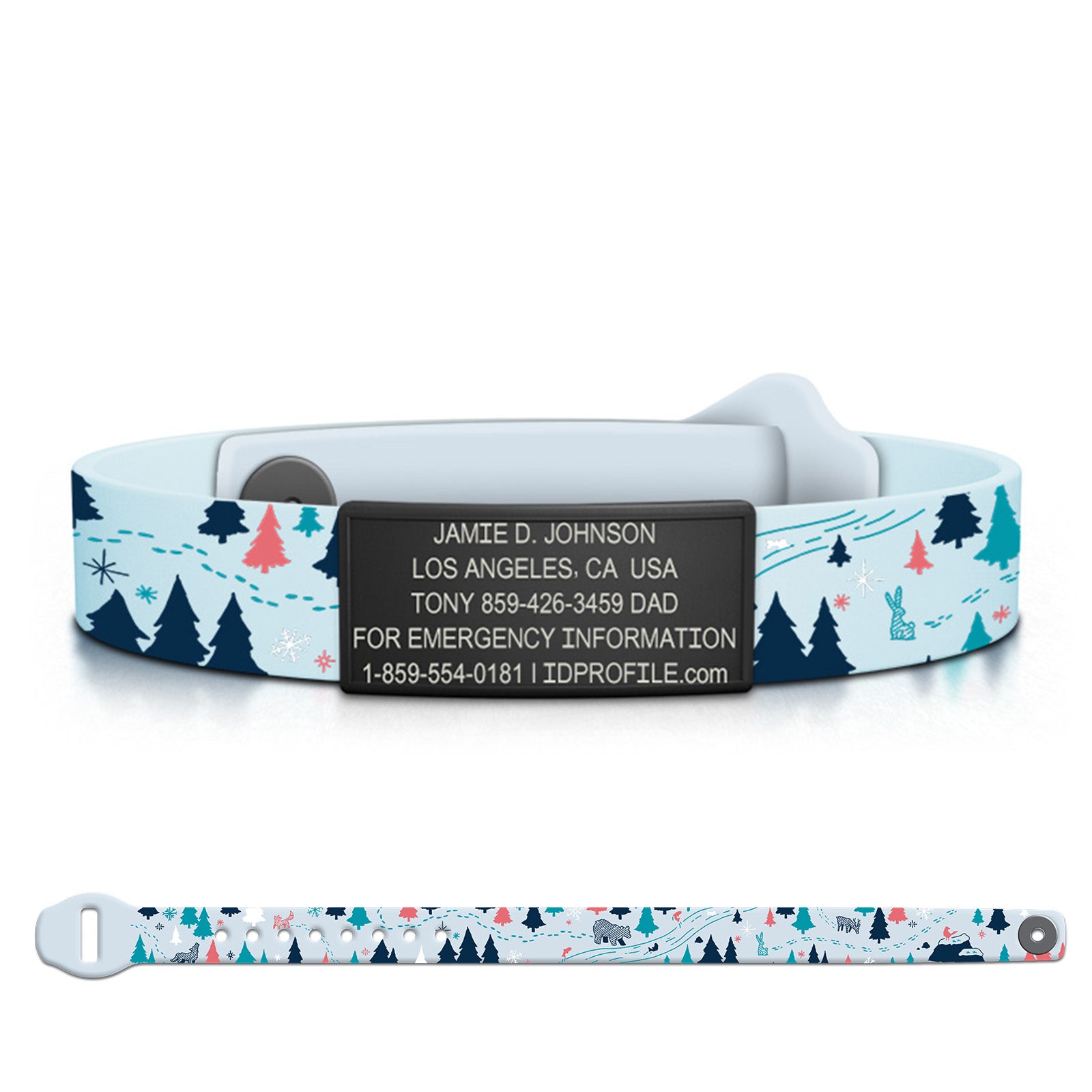 Graphite / Limited | Arctic Day