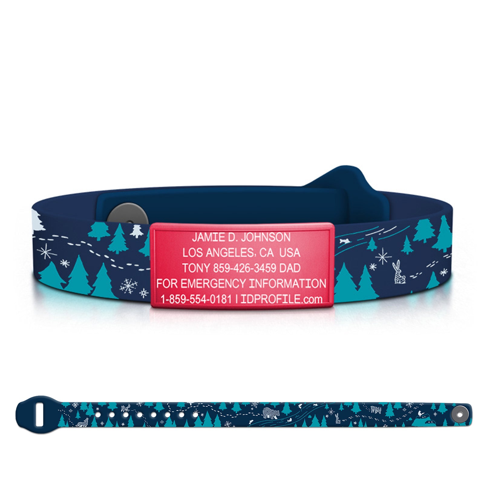 Ember / Limited | Arctic Night